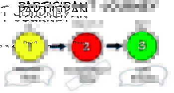 Participant Journey_final